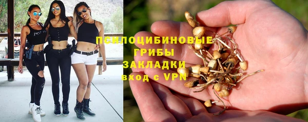 каннабис Дмитровск