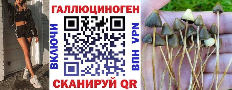 Галлюциногенные грибы MAGIC MUSHROOMS hydra зеркало Железноводск