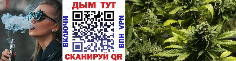 Каннабис SATIVA & INDICA  купить наркоту  Железноводск 